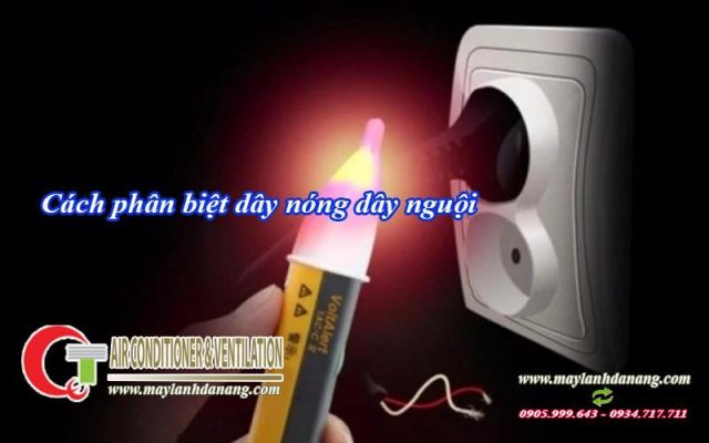 cach phan biet day nong day nguoi3 - QuocTung.Com