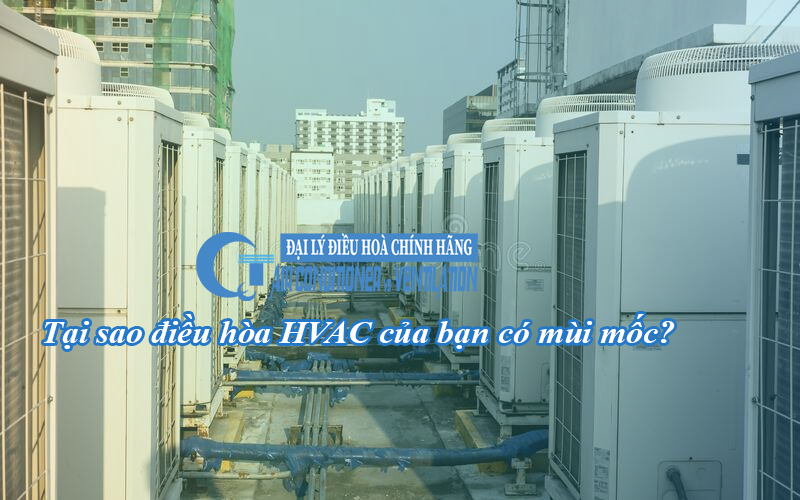 tai-sao-dieu-hoa-hvac-cua-ban-co-mui-moc-1